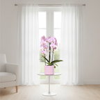 Roze Niagara Falls orchidee + Poppy roze sierpot – potmaat Ø12cm | bloeiende kamerplant – vers van de kweker