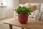 Pot elho Jazz Round tuscan red - D23 x H21