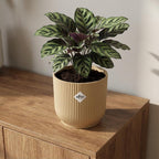 ELHO Vibes Fold 14cm geel