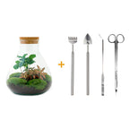 DIY terrarium - Sammie Coffea Red - Ø 22,5 cm ↑ 27 cm - Normal