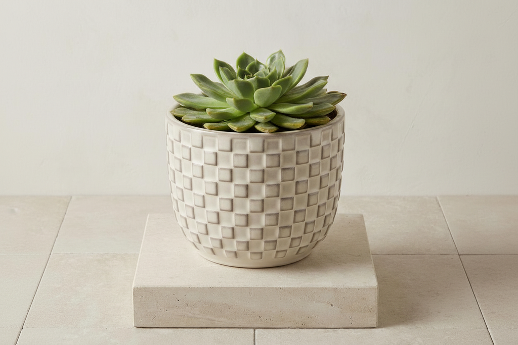 Mini pot relief wit 7cm hoog