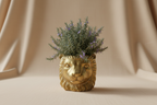 Planter Leeuw D11/13x10cm - Goud - D11/13x10cm