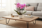 Paars roze phalaenopsis orchidee potmaat Ø9cm | Frederikstad | bloeiende kamerplant - vers van de kweker