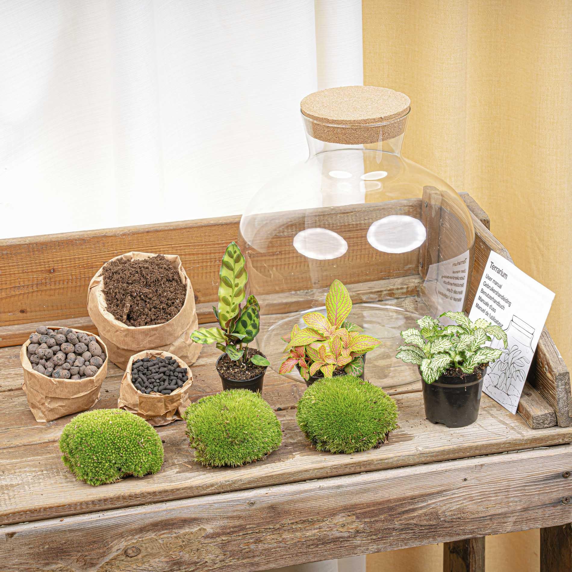 DIY Planten terrarium met licht - Fat Joe Red - Ø 29 cm ↑ 30 cm - No Tools