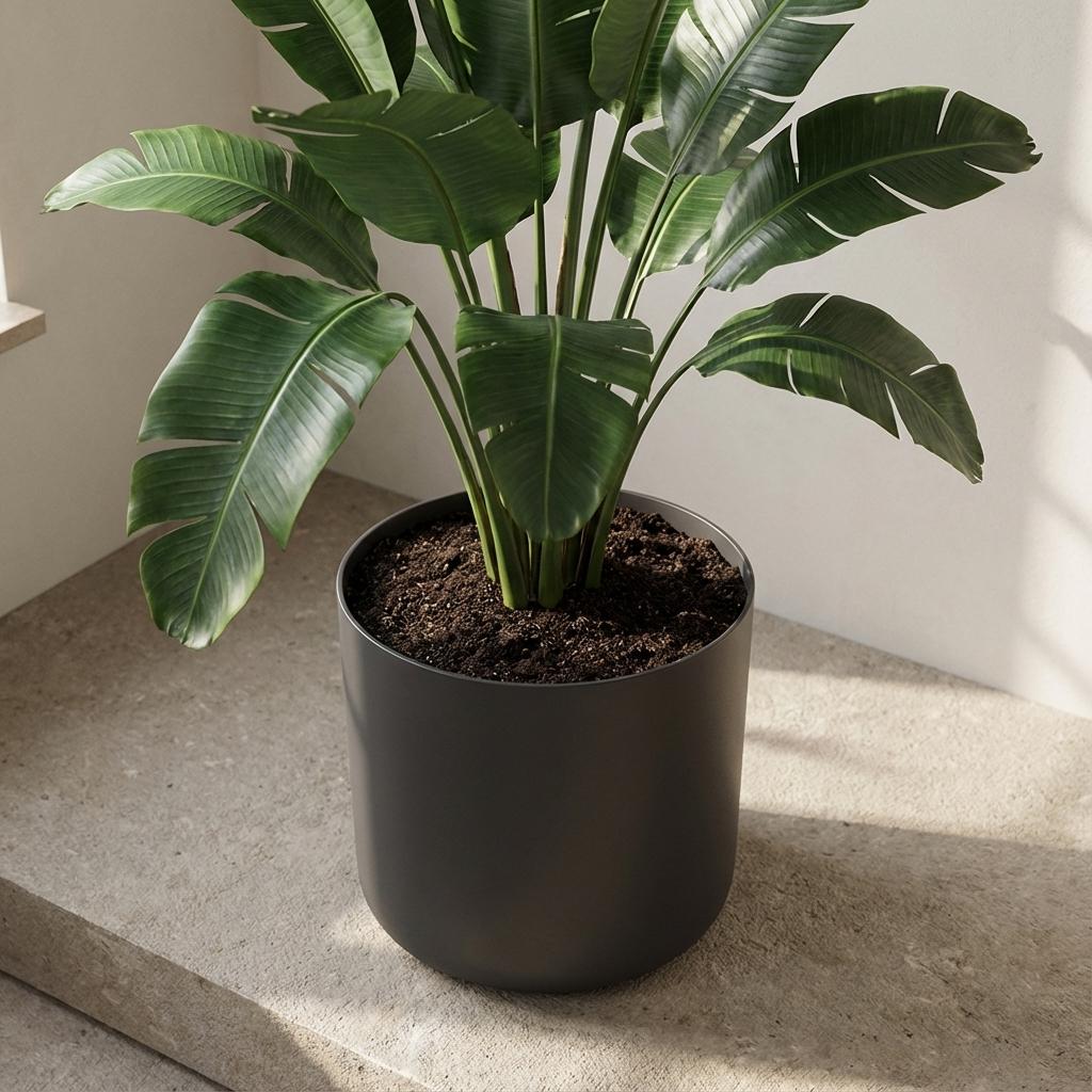 Elho B.for soft Antraciet - 14cm