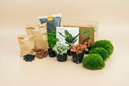 Planten terrarium navulling & Startpakket - 5 planten