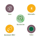 Kamerplant set van 3  - Marantha Silverband, Marantha Lemon Lime Marantha Kerchoveana - Gebedsplant - Huisdiervriendelijke Plant - Groen - 3 Planten - Pot 12cm - Hoogte 25cm