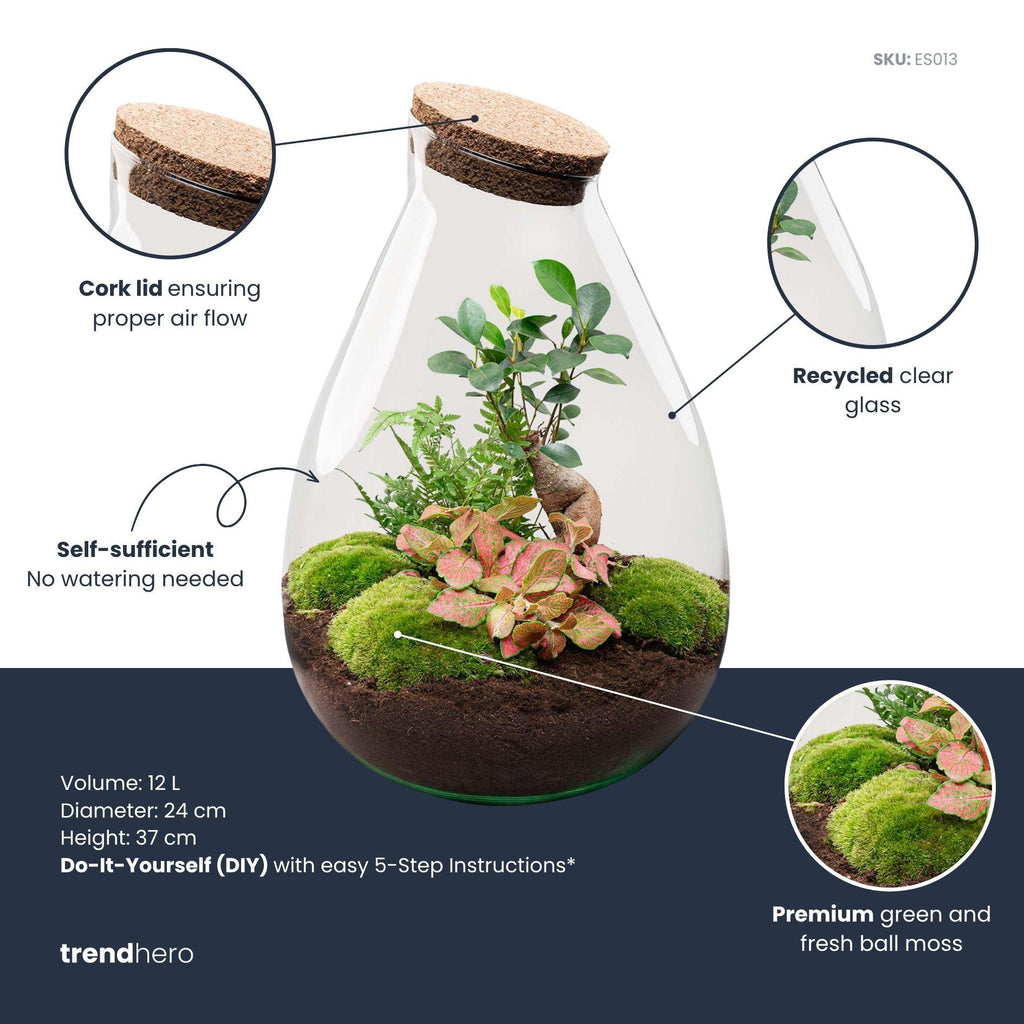 DIY Planten terrarium - Drop XL Bonsai 'red' - Ø 24 cm ↑ 37 cm - No tools